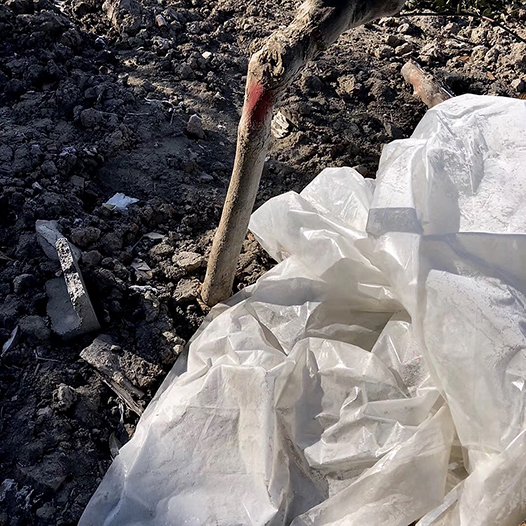 Ng Hon Lam_In Memory Of KH 2