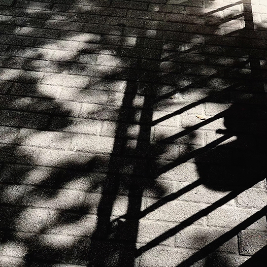 Ng Hon Lam_In Memory Of KH 2