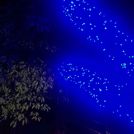 Ng Hon Lam_In Memory Of KH 2