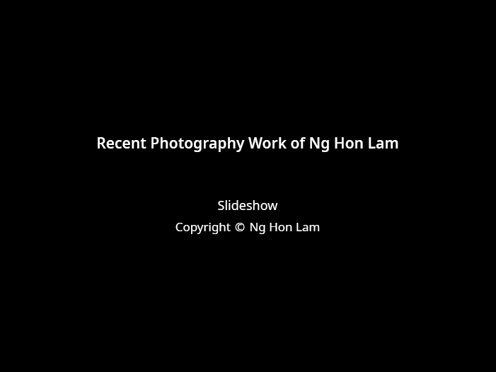 Ng Hon Lam Photography