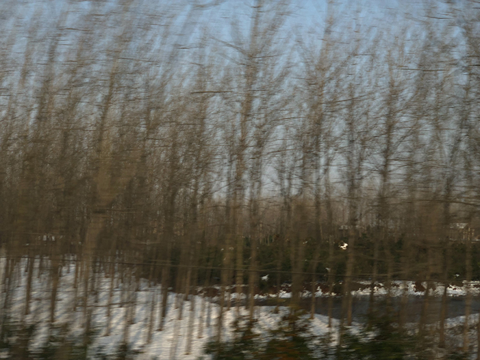 Ng Hon Lam Photography