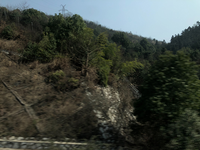 Ng Hon Lam Photography