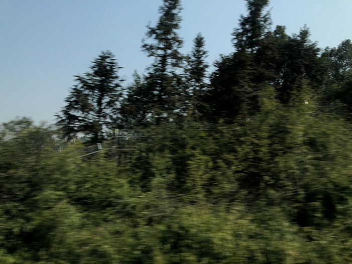 Ng Hon Lam Photography