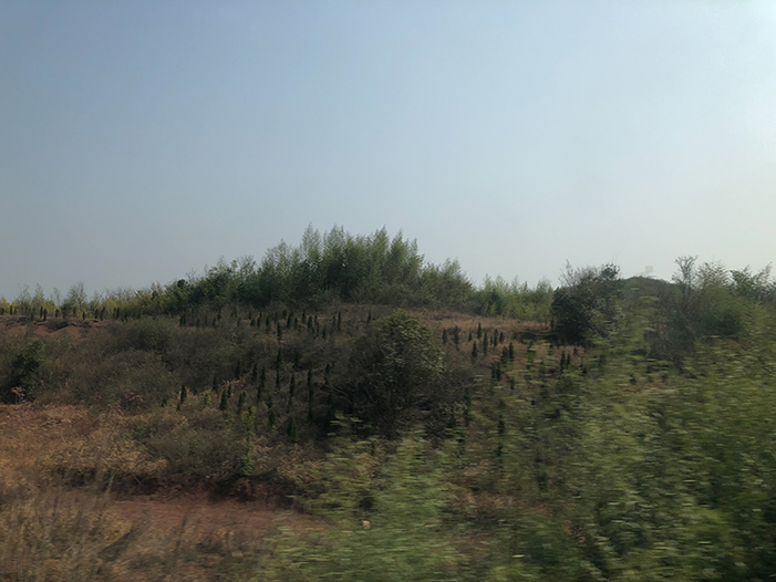 Ng Hon Lam Photography