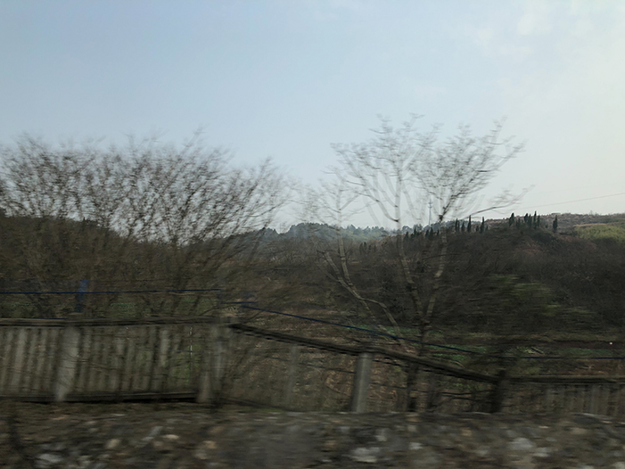 Ng Hon Lam Photography