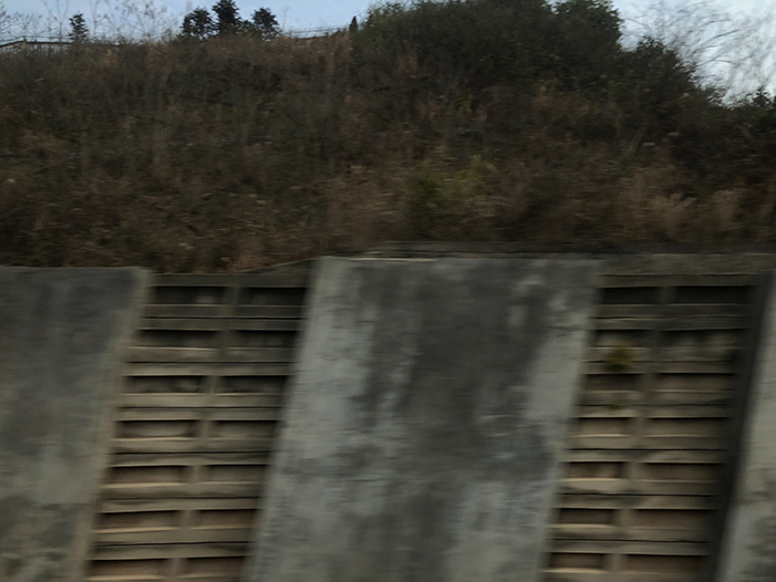 Ng Hon Lam Photography