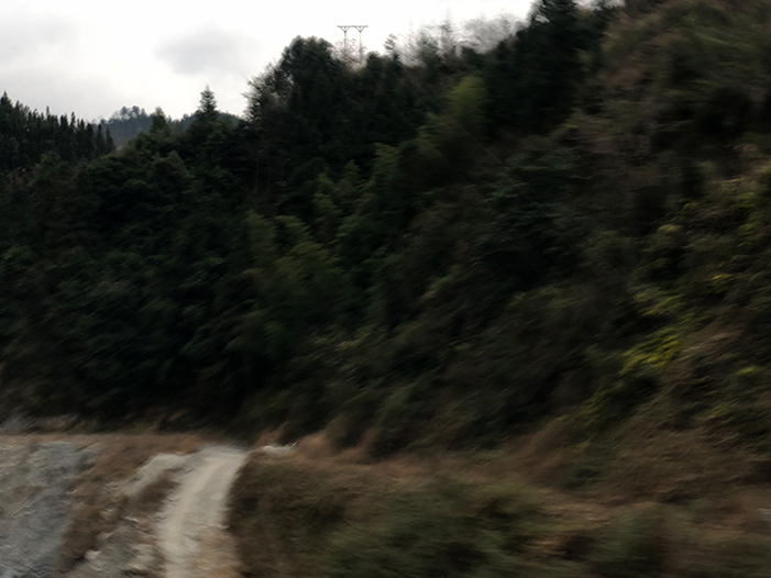 Ng Hon Lam Photography