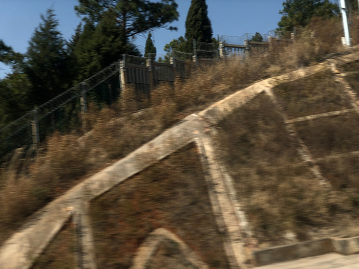 Ng Hon Lam Photography