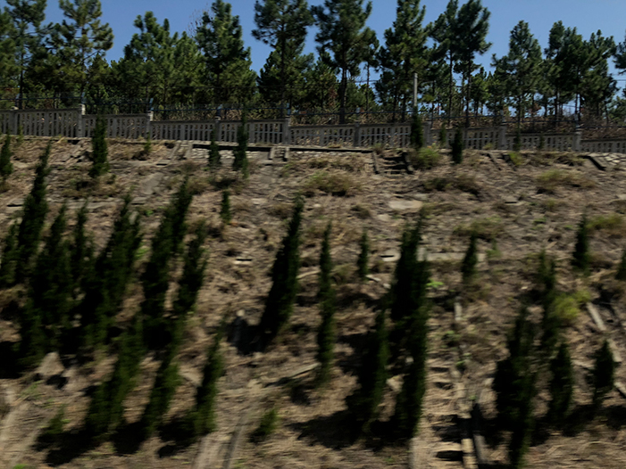 Ng Hon Lam Photography