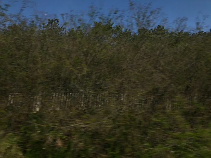 Ng Hon Lam Photography