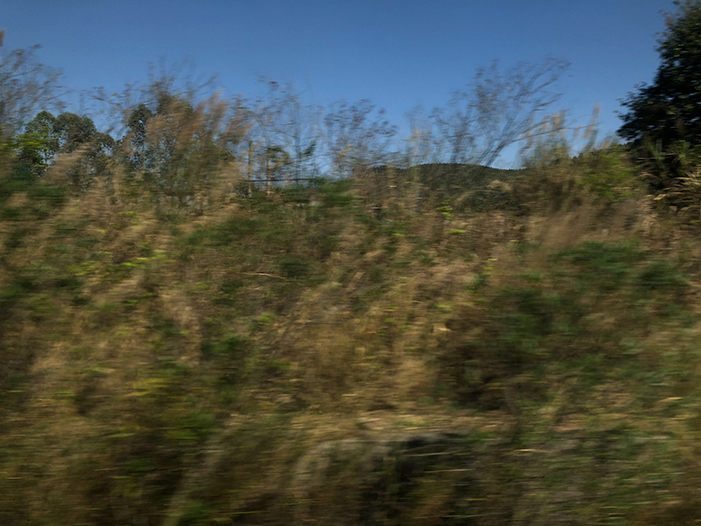 Ng Hon Lam Photography