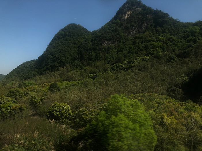 Ng Hon Lam Photography