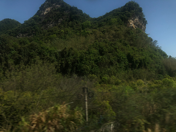 Ng Hon Lam Photography