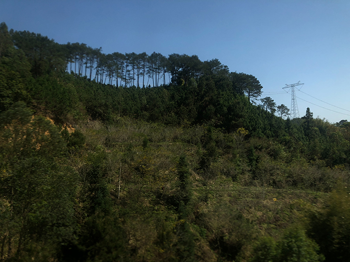 Ng Hon Lam Photography