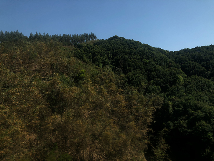 Ng Hon Lam Photography