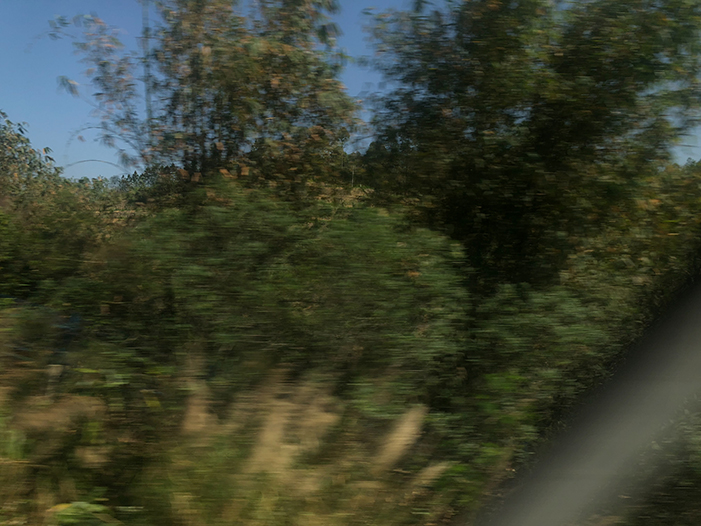 Ng Hon Lam Photography