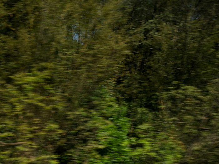 Ng Hon Lam Photography