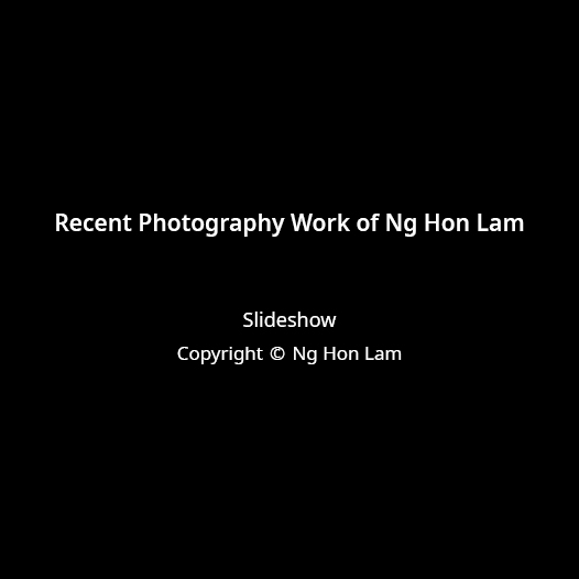 Ng Hon Lam Photography