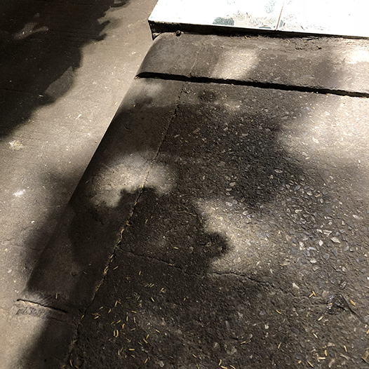 Ng Hon Lam Photography