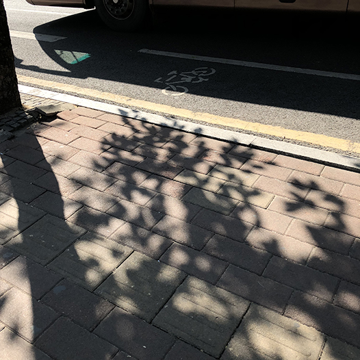 Ng Hon Lam Photography