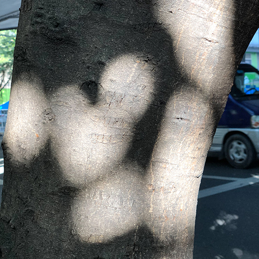 Ng Hon Lam Photography