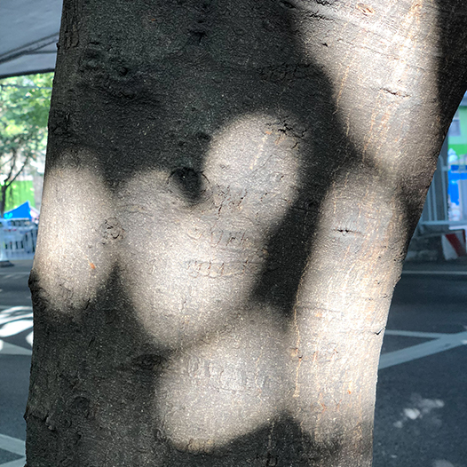 Ng Hon Lam Photography