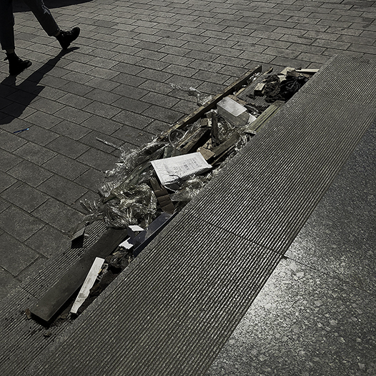 Ng Hon Lam Photography