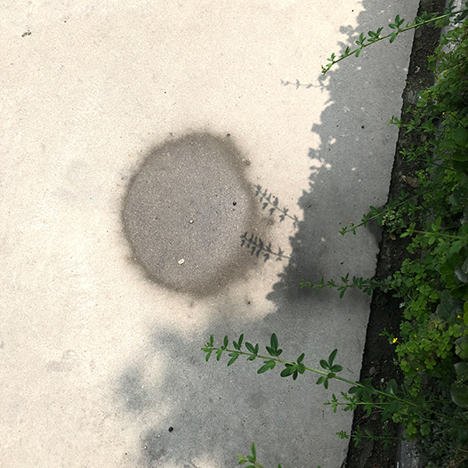 Ng Hon Lam Photography