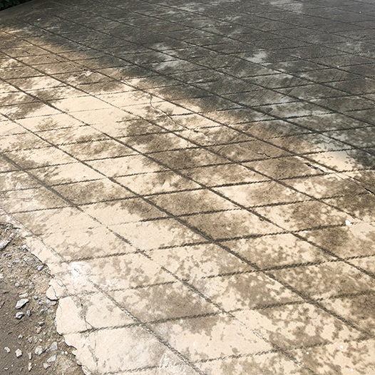 Ng Hon Lam Photography