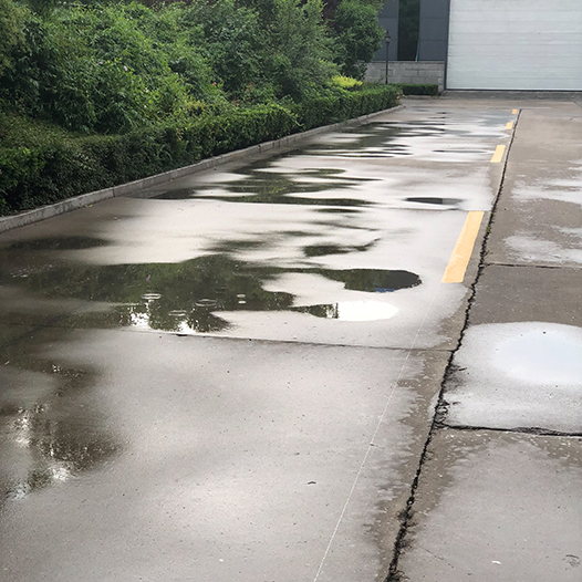 Ng Hon Lam Photography