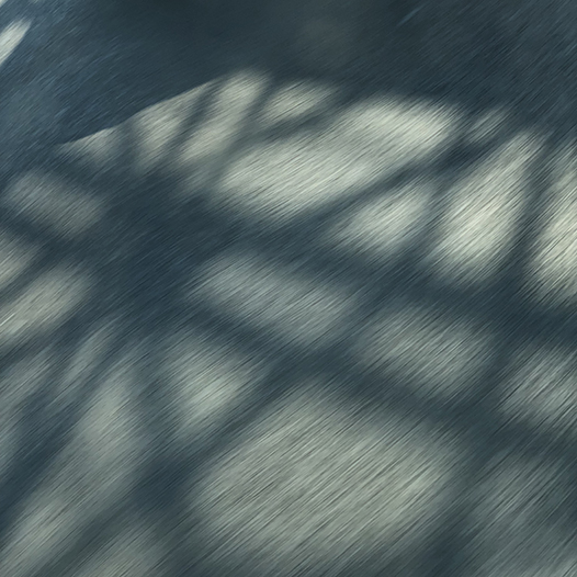 Ng Hon Lam Photography