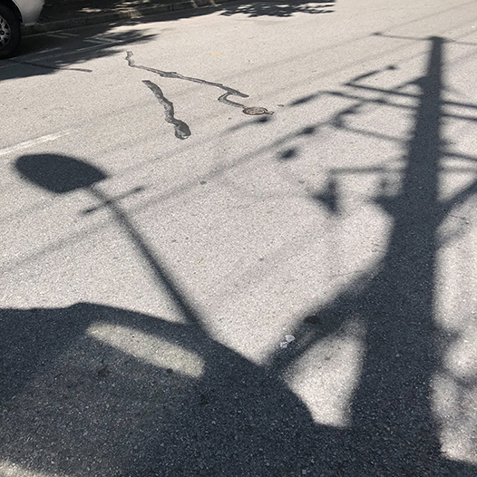 Ng Hon Lam Photography