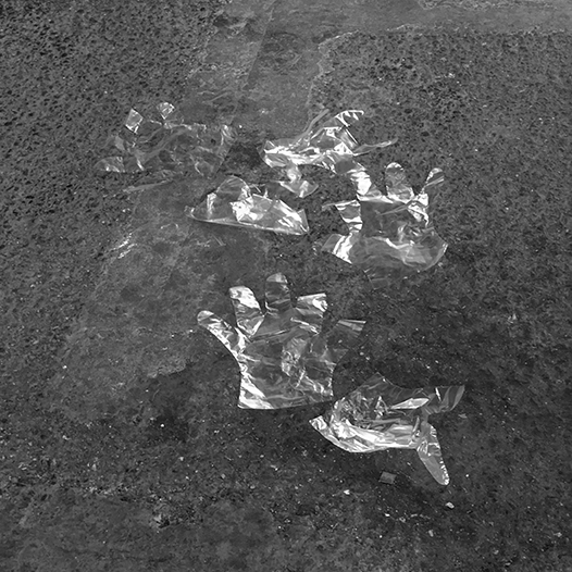 Ng Hon Lam Photography