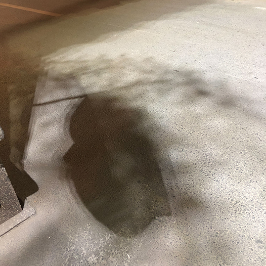 Ng Hon Lam Photography