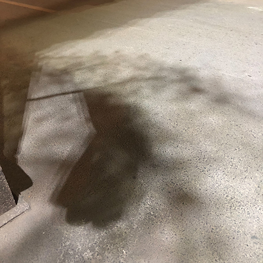 Ng Hon Lam Photography