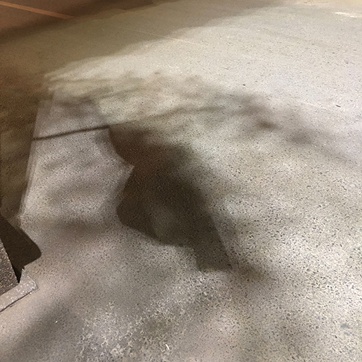 Ng Hon Lam Photography