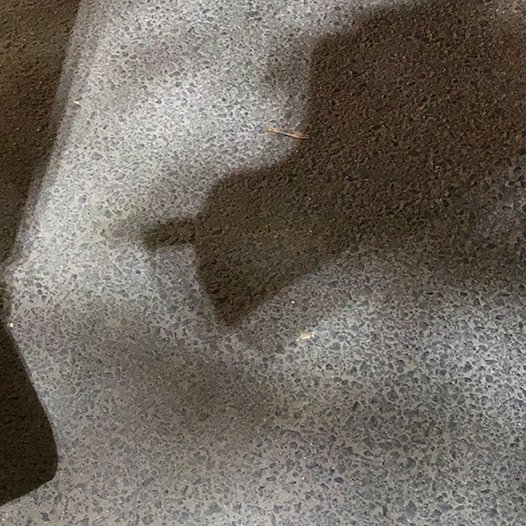 Ng Hon Lam Photography