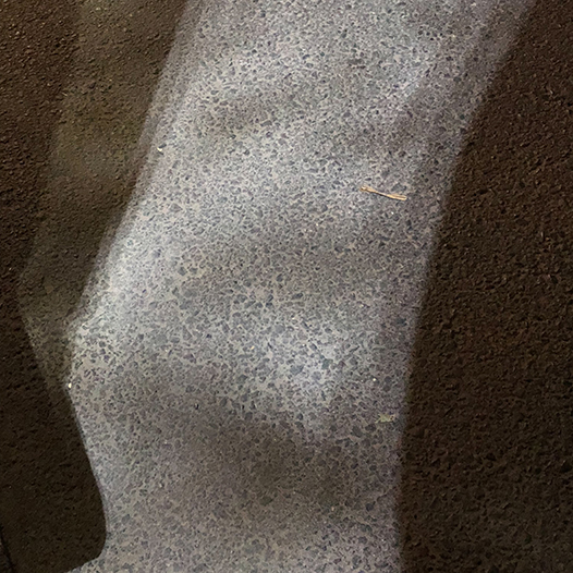 Ng Hon Lam Photography