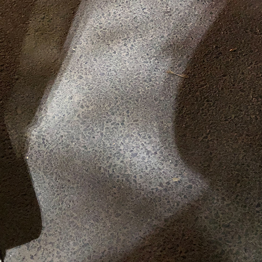 Ng Hon Lam Photography