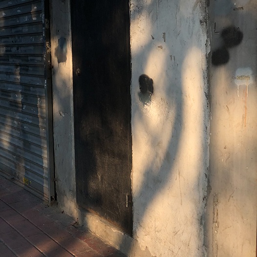 Ng Hon Lam Photography