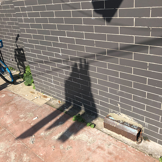 Ng Hon Lam Photography