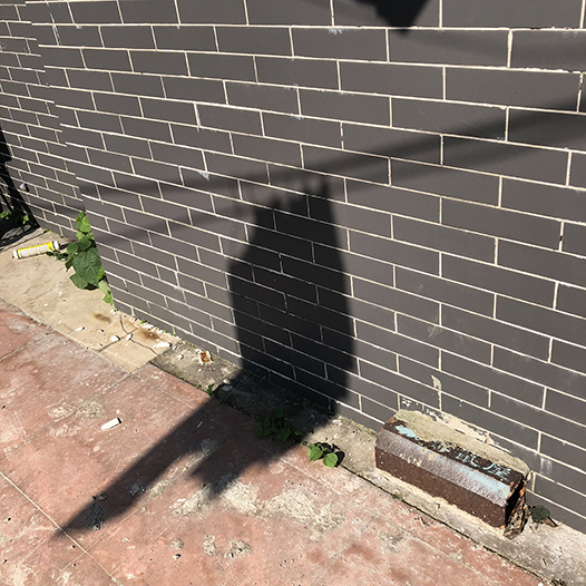 Ng Hon Lam Photography