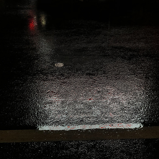 Ng Hon Lam Photography