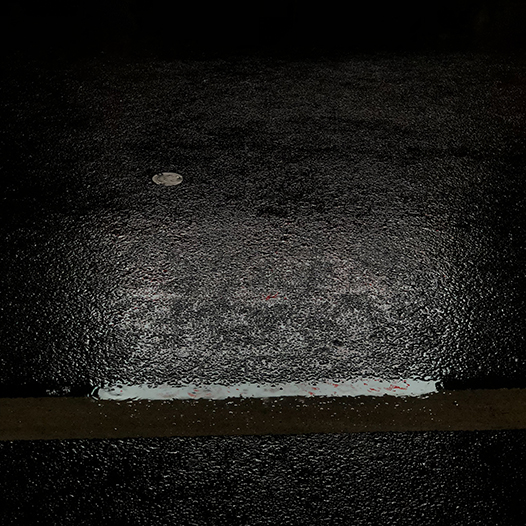 Ng Hon Lam Photography