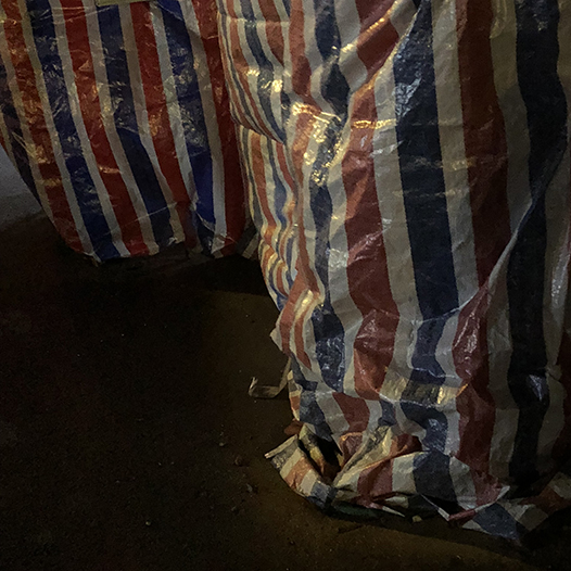 Ng Hon Lam Photography