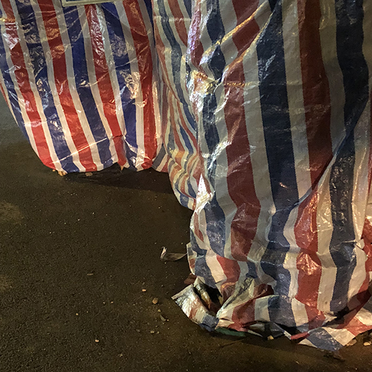 Ng Hon Lam Photography