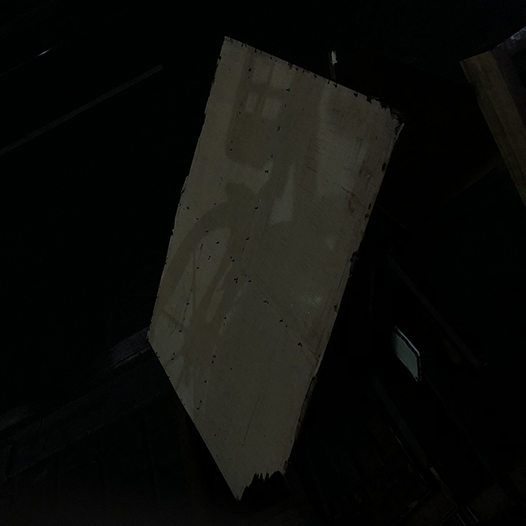 Ng Hon Lam Photography