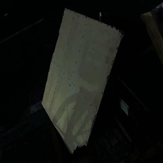 Ng Hon Lam Photography