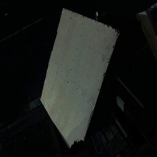 Ng Hon Lam Photography