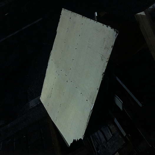 Ng Hon Lam Photography